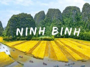 Catba Hai phong to Ninh binh, best price